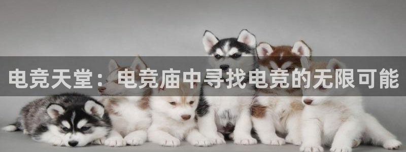 db电竞官网入口：电竞天堂：电竞庙中寻找电竞的无限可能
