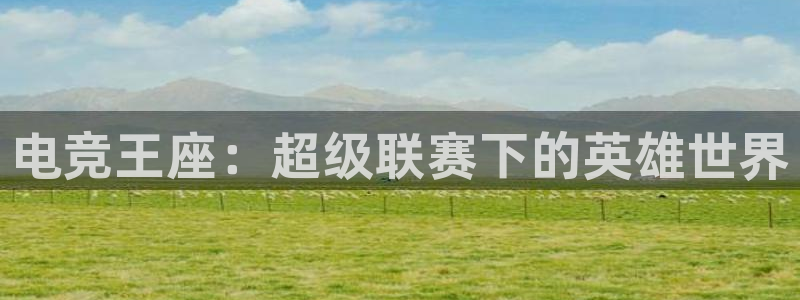 db电竞网页版：电竞王座：超级联赛下的英雄世界