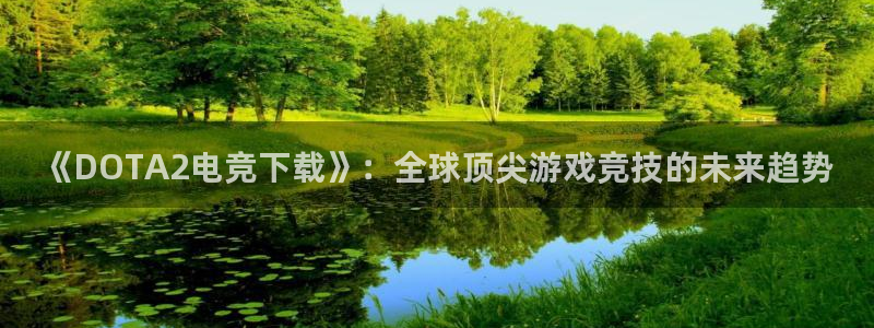 db电竞是什么软件：《DOTA2电竞下载》：全球顶尖游戏竞技的未来趋势