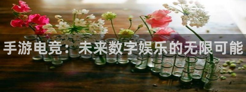 db电竞是什么软件：手游电竞：未来数字娱乐的无限可能
