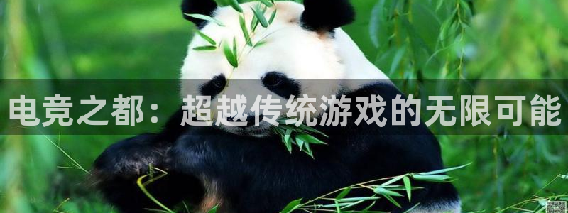 db电竞登陆：电竞之都：超越传统游戏的无限可能
