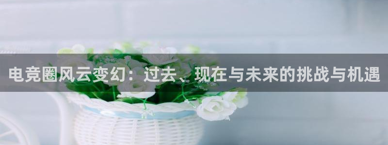 db电竞平台：电竞圈风云变幻：过去、现在与未来的挑战与机遇
