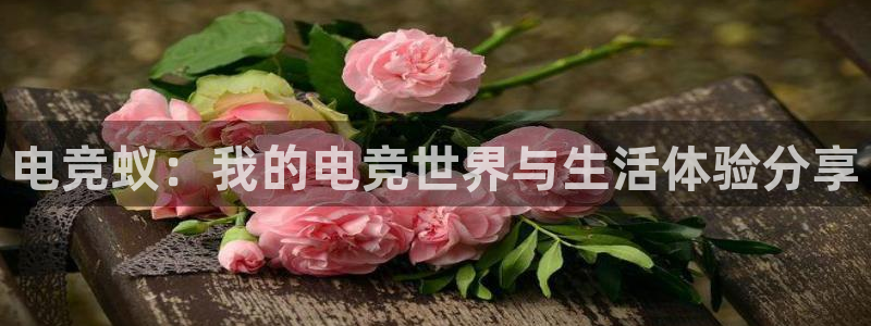 db电竞官网app：电竞蚁：我的电竞世界与生活体验分享