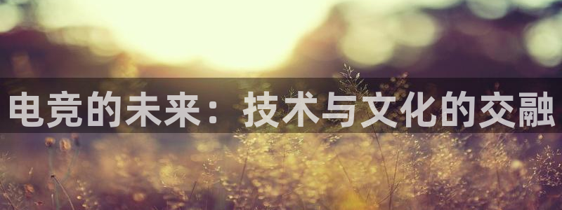 db电竞登陆：电竞的未来：技术与文化的交融