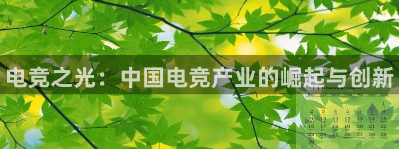 db电竞下载：电竞之光：中国电竞产业的崛起与创新