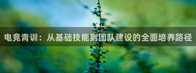db电竞是什么软件：电竞青训：从基础技能到团队建设的全面培养路径