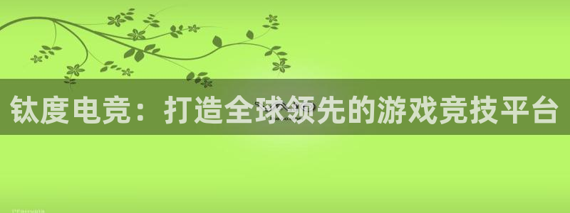 db电竞是什么软件啊：钛度电竞：打造全球领先的游戏竞技平台